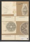 Actinoptychus boliviensis Janisch (de-Toni-Nr.: Genus 227, Species 5611) Zeichnungen Sammlung Grunow Nr. 9500 (NHMW-BOT-W0379483)